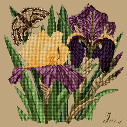 Iris