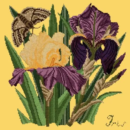 Iris