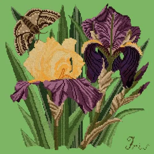 Iris