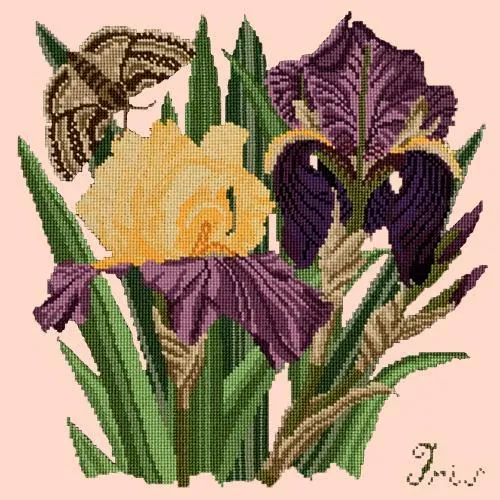 Iris