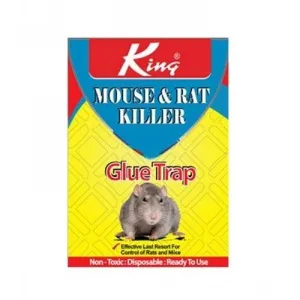 KING MOUSE&RAT GLUE TRAP