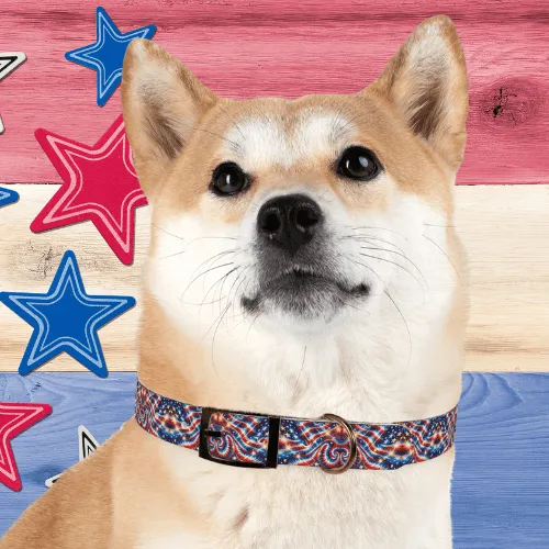 Liberty Swirl Dog Collar 🌟🐾