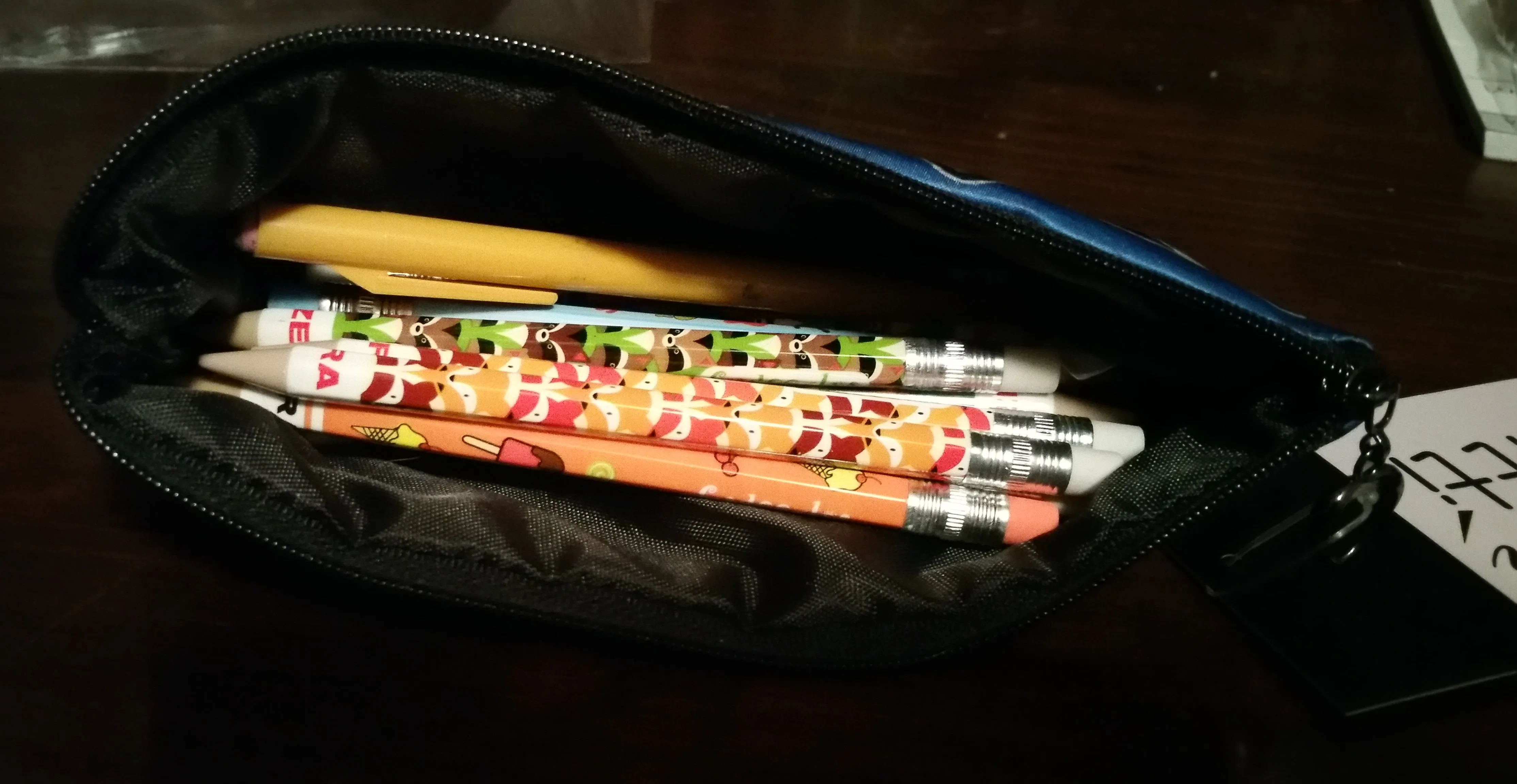 Lion Kitten Pencil Bag - A Father's Pride