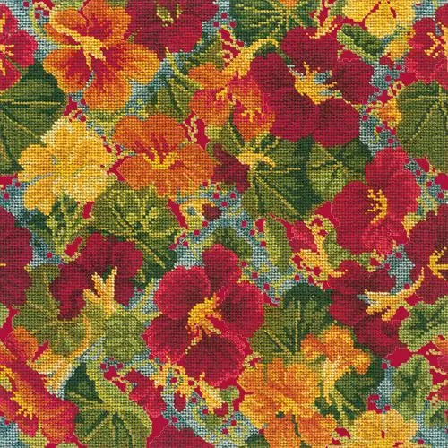 Nasturtium Trellis