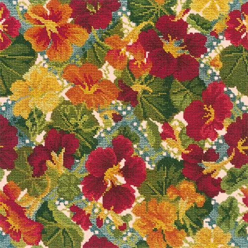 Nasturtium Trellis