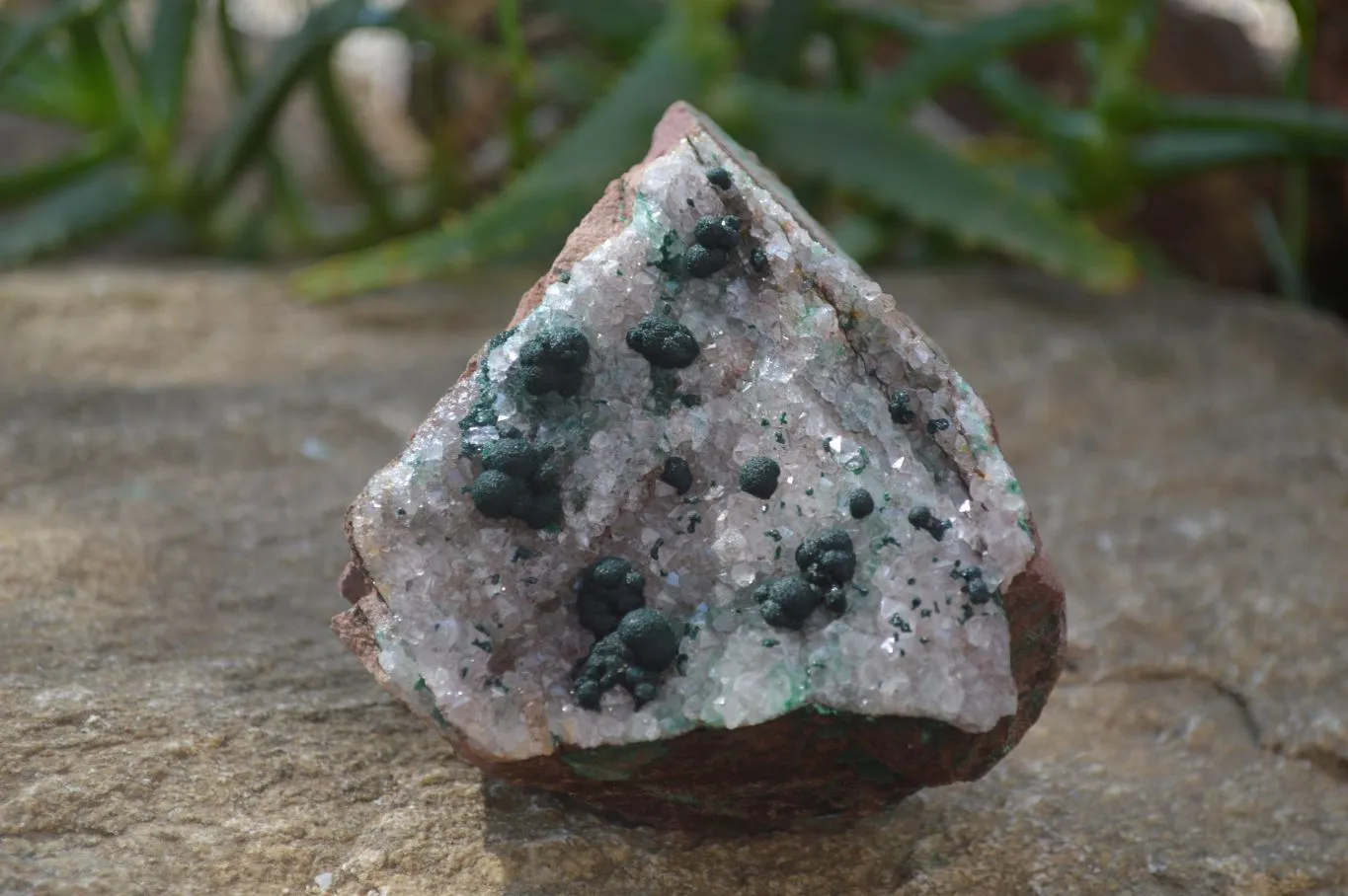 Natural Ball Malachite On Quartz Matrix Specimens x 2 From Kambove, Congo