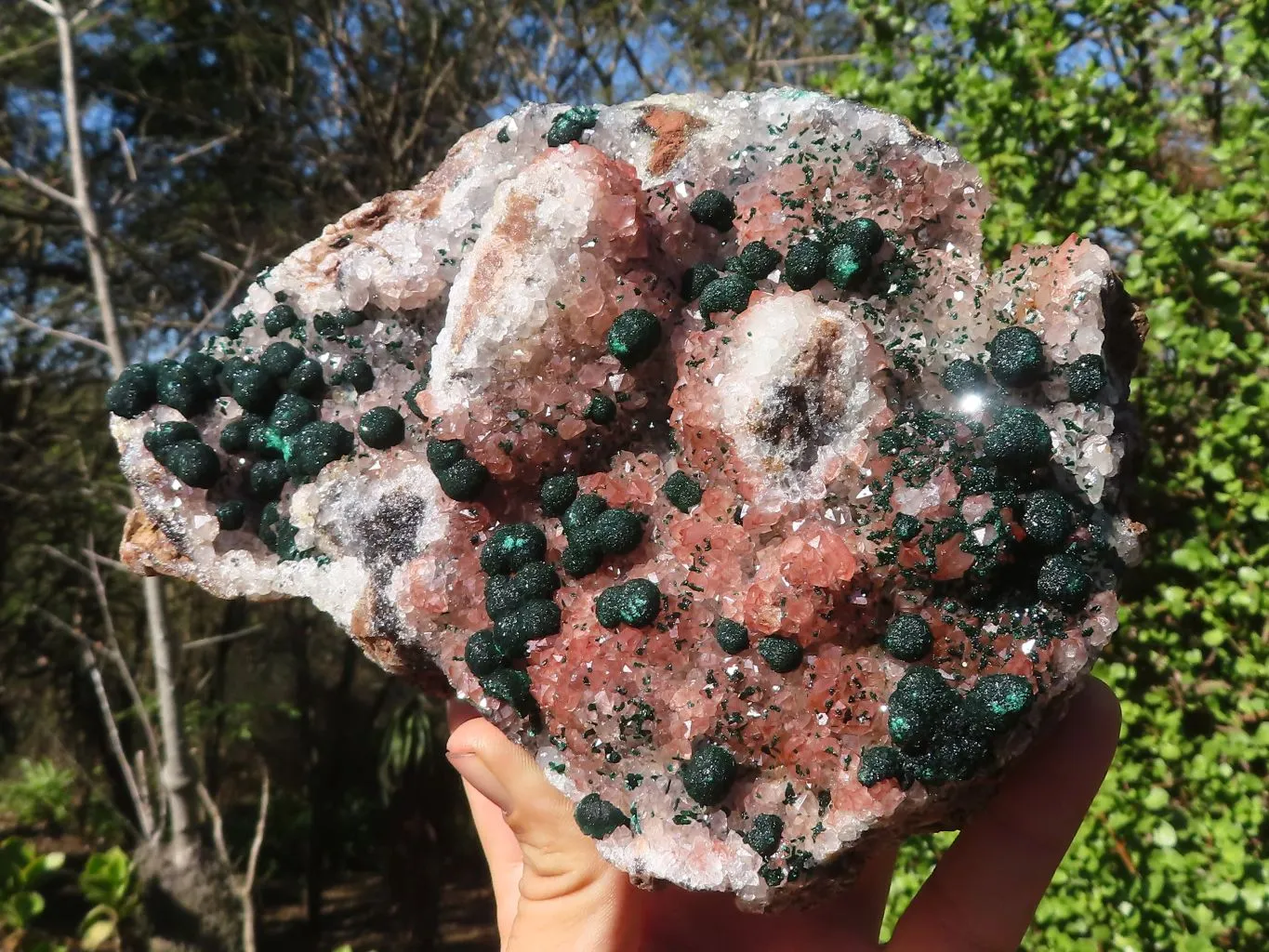 Natural Rare Ball Malachite On Drusi Quartz & Dolomite Matrix  x 1 From Congo