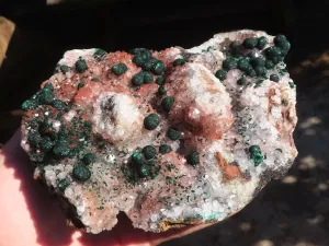 Natural Rare Ball Malachite On Drusi Quartz & Dolomite Matrix  x 1 From Congo