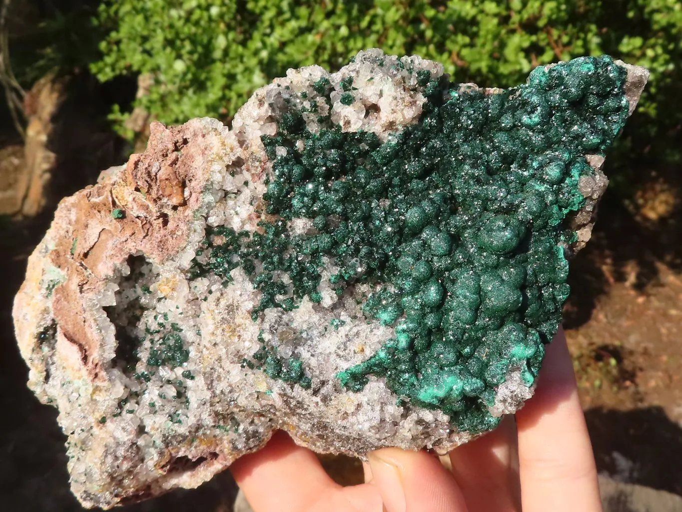 Natural Rare Ball Malachite On Drusy Quartz & Dolomite Matrix  x 1 From Kambove, Congo