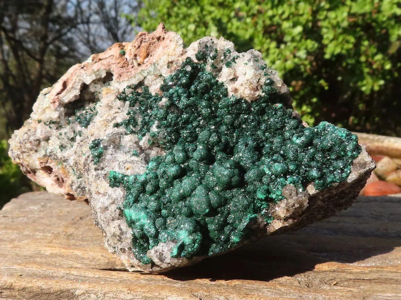 Natural Rare Ball Malachite On Drusy Quartz & Dolomite Matrix  x 1 From Kambove, Congo