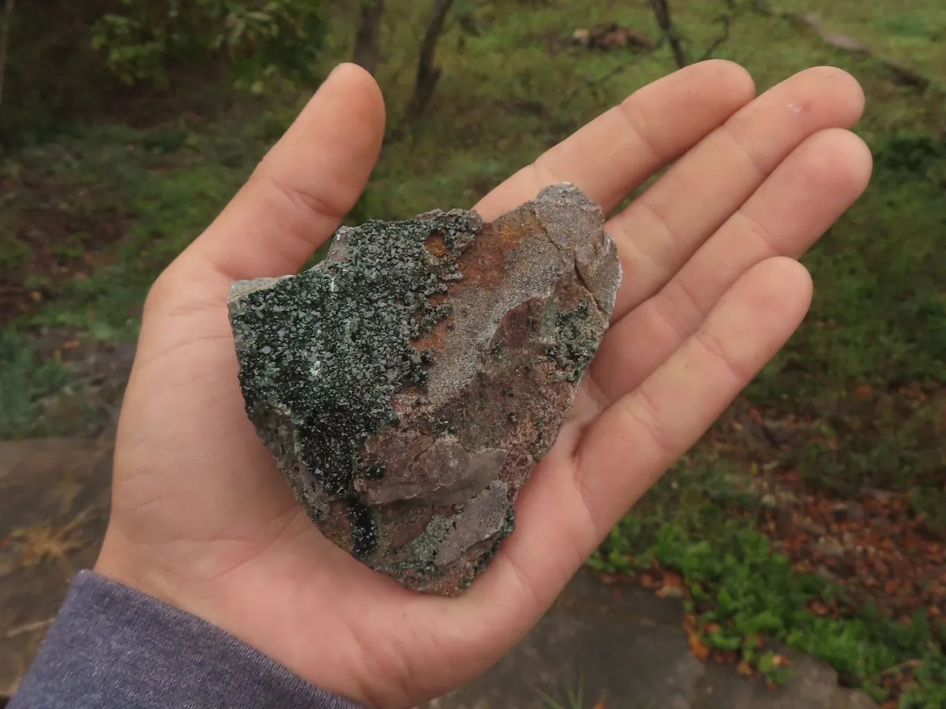 Natural Rare Copper Phosphate Libethenite On Dolomite Clusters x 8 From Shituru, Congo