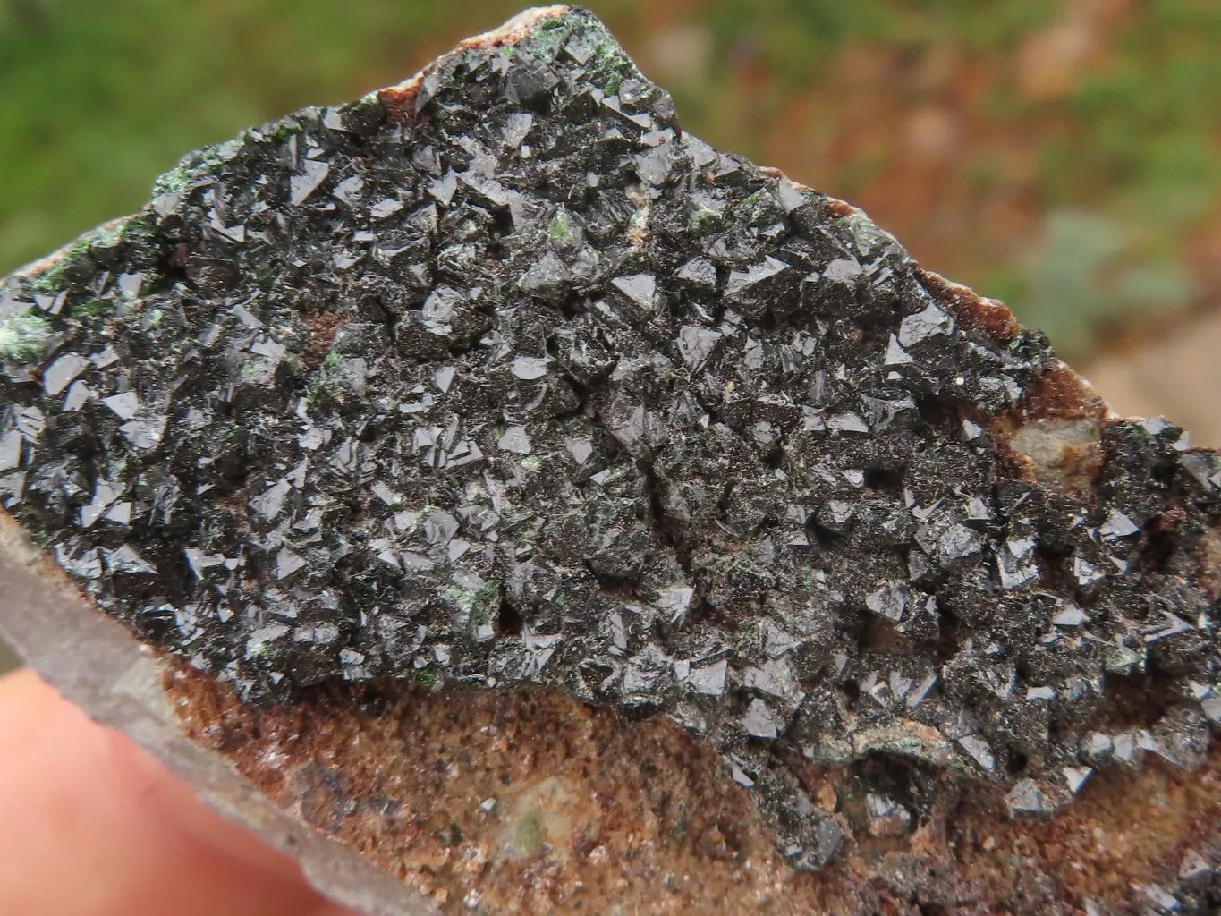 Natural Rare Copper Phosphate Libethenite On Dolomite Clusters x 8 From Shituru, Congo
