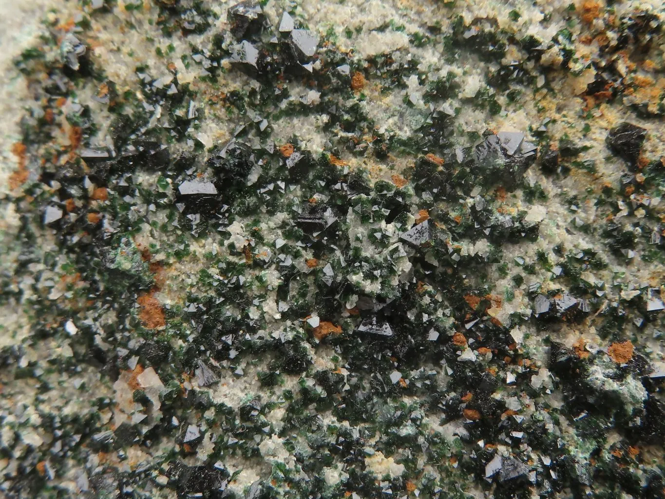 Natural Rare Copper Phosphate Libethenite On Dolomite Clusters x 8 From Shituru, Congo