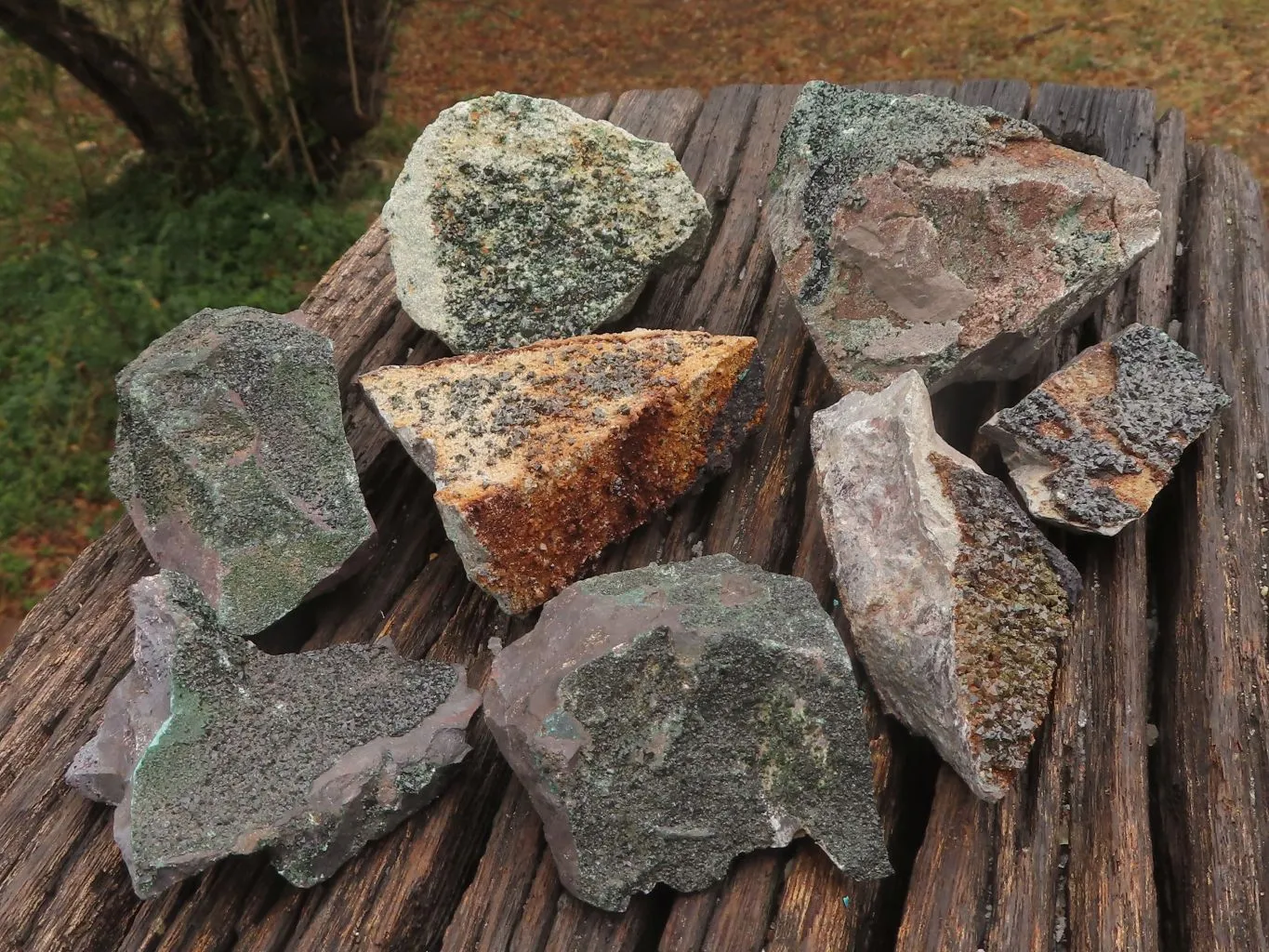 Natural Rare Copper Phosphate Libethenite On Dolomite Clusters x 8 From Shituru, Congo