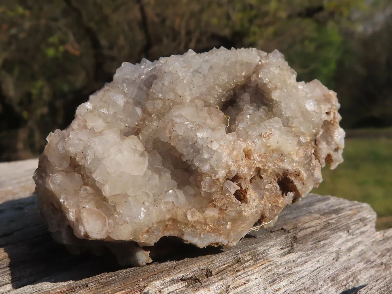 Natural Rare Hollow "Snow" Quartz Specimens x 12 From Albert's Mountain, Lesotho