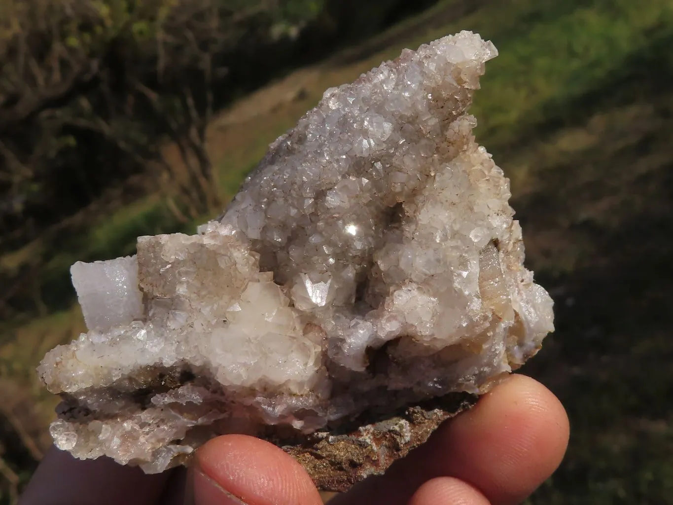 Natural Rare Hollow "Snow" Quartz Specimens x 12 From Albert's Mountain, Lesotho
