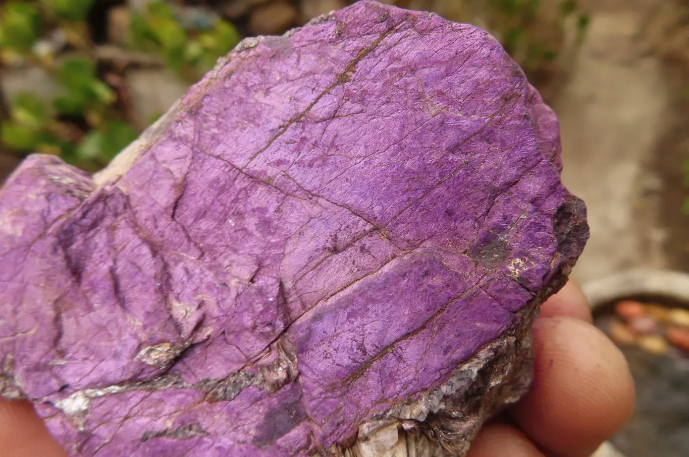 Natural Rare Metallic Purpurite Specimens x 6 From Namibia