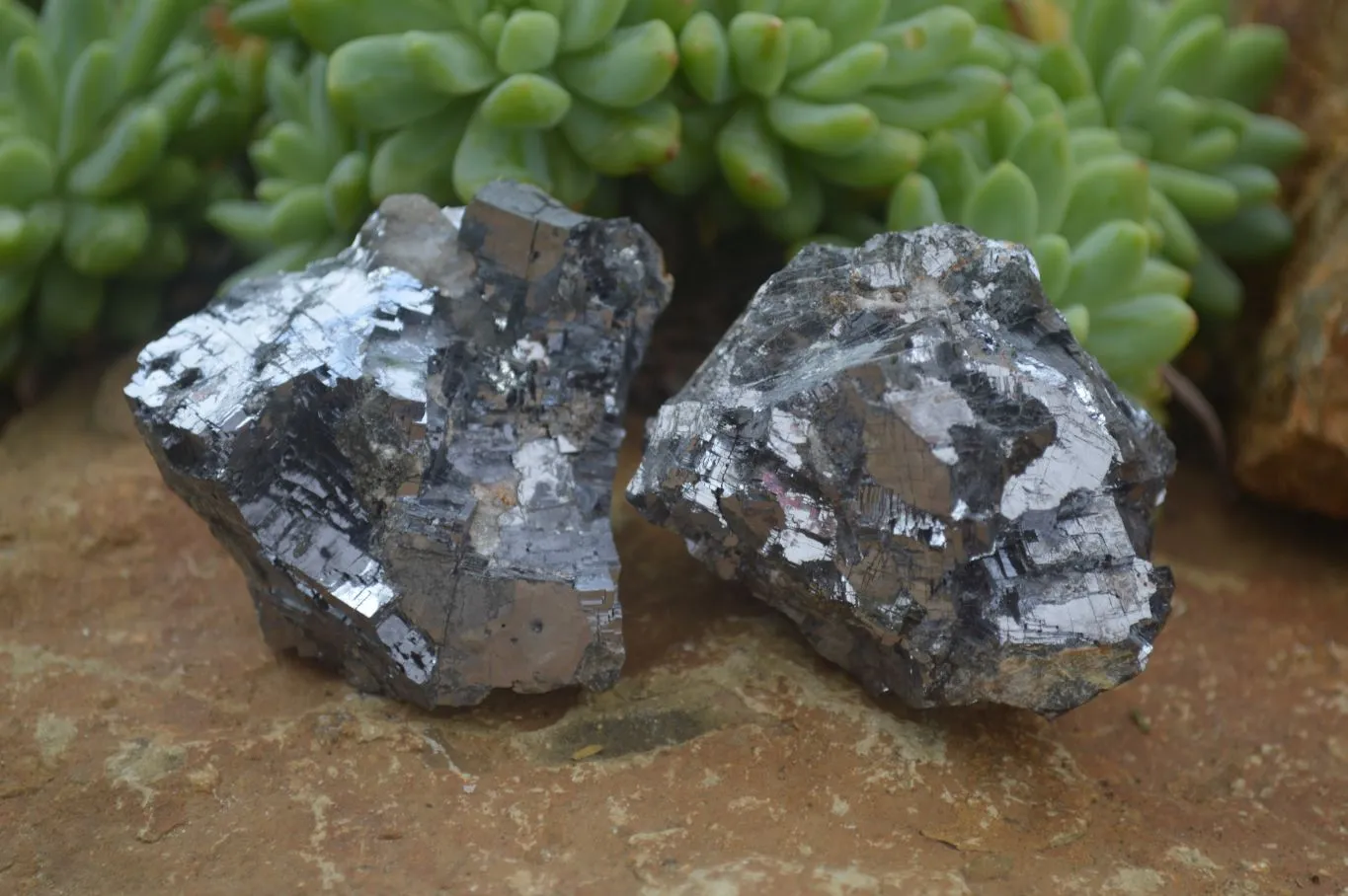 Natural Rare Silver Lead Galena Specimens x 6 From Namibia
