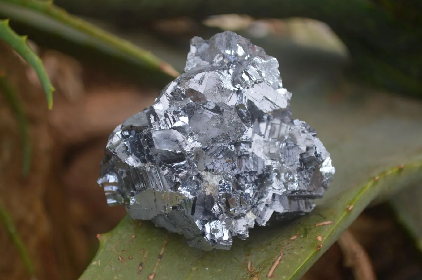 Natural Rare Silver Lead Galena Specimens x 6 From Namibia