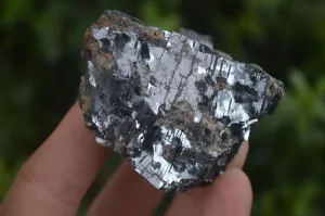 Natural Rare Silver Lead Galena Specimens x 6 From Namibia