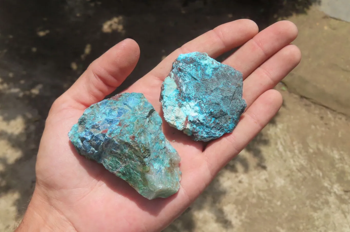 Natural Shattuckite with Chrysocolla & Malachite Specimens x 35 from Kaokoveld, Namibia