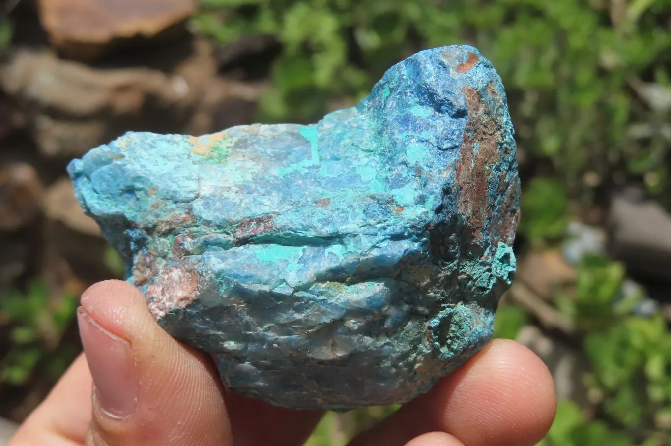 Natural Shattuckite with Chrysocolla & Malachite Specimens x 35 from Kaokoveld, Namibia