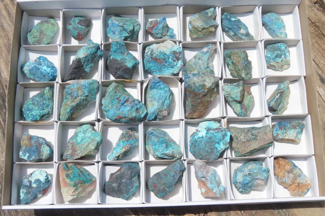 Natural Shattuckite with Chrysocolla & Malachite Specimens x 35 from Kaokoveld, Namibia