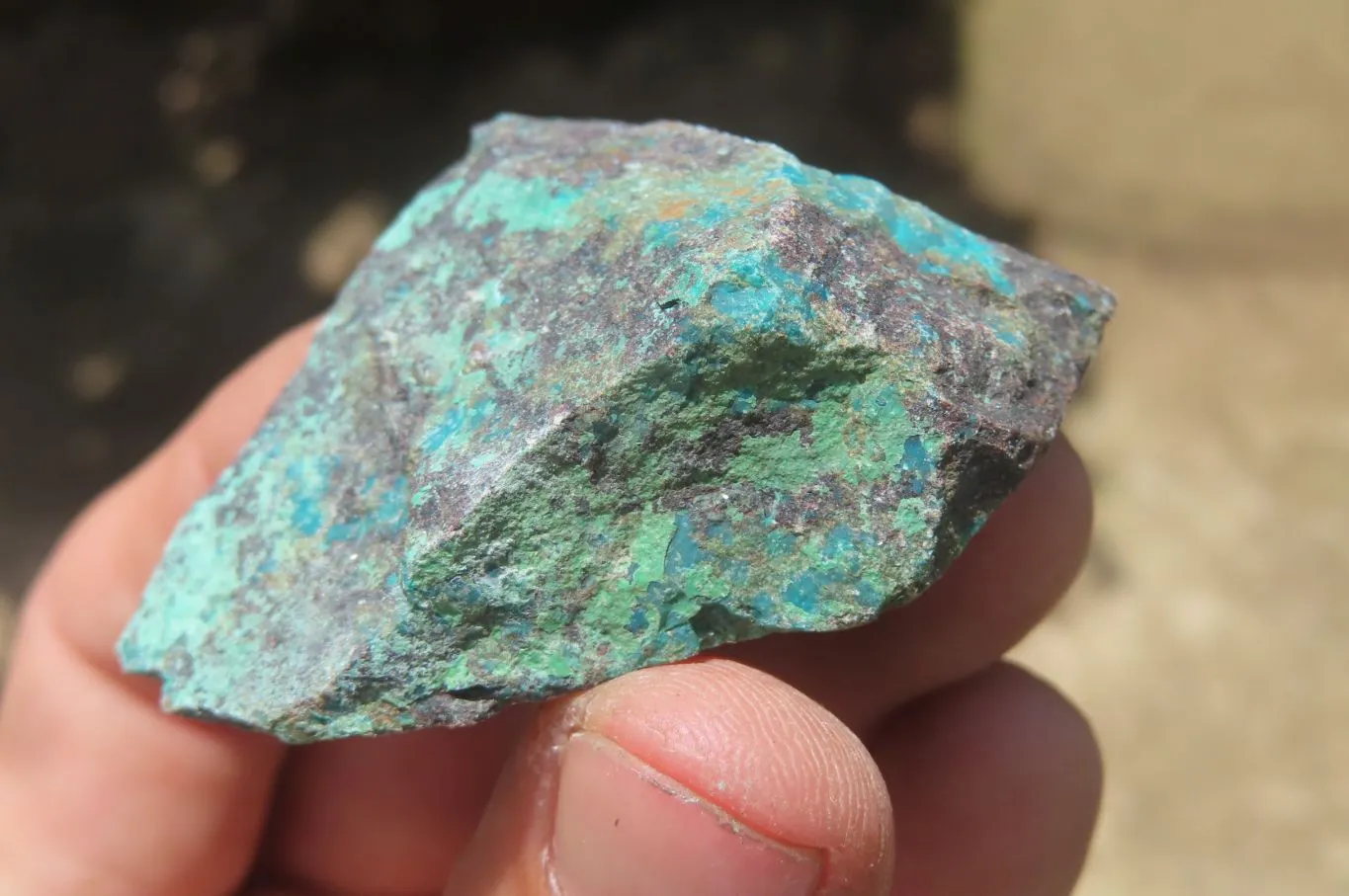 Natural Shattuckite with Chrysocolla & Malachite Specimens x 35 from Kaokoveld, Namibia