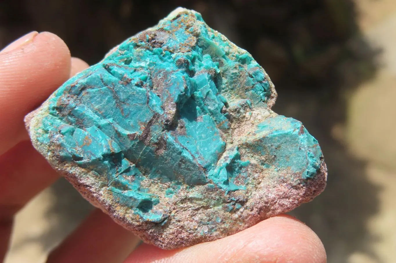 Natural Shattuckite with Chrysocolla & Malachite Specimens x 35 from Kaokoveld, Namibia