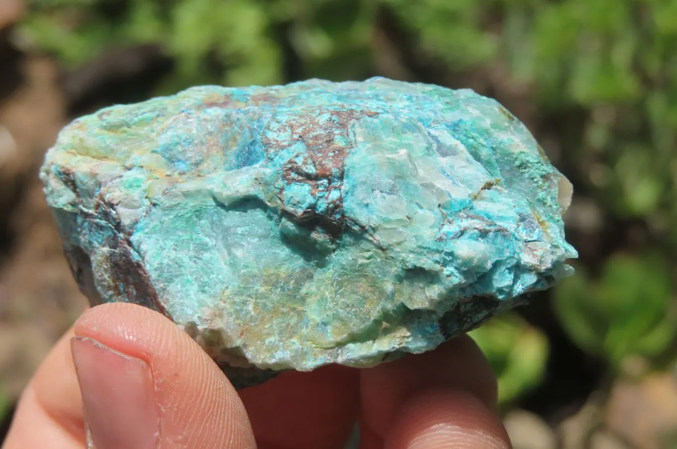 Natural Shattuckite with Chrysocolla & Malachite Specimens x 35 from Kaokoveld, Namibia