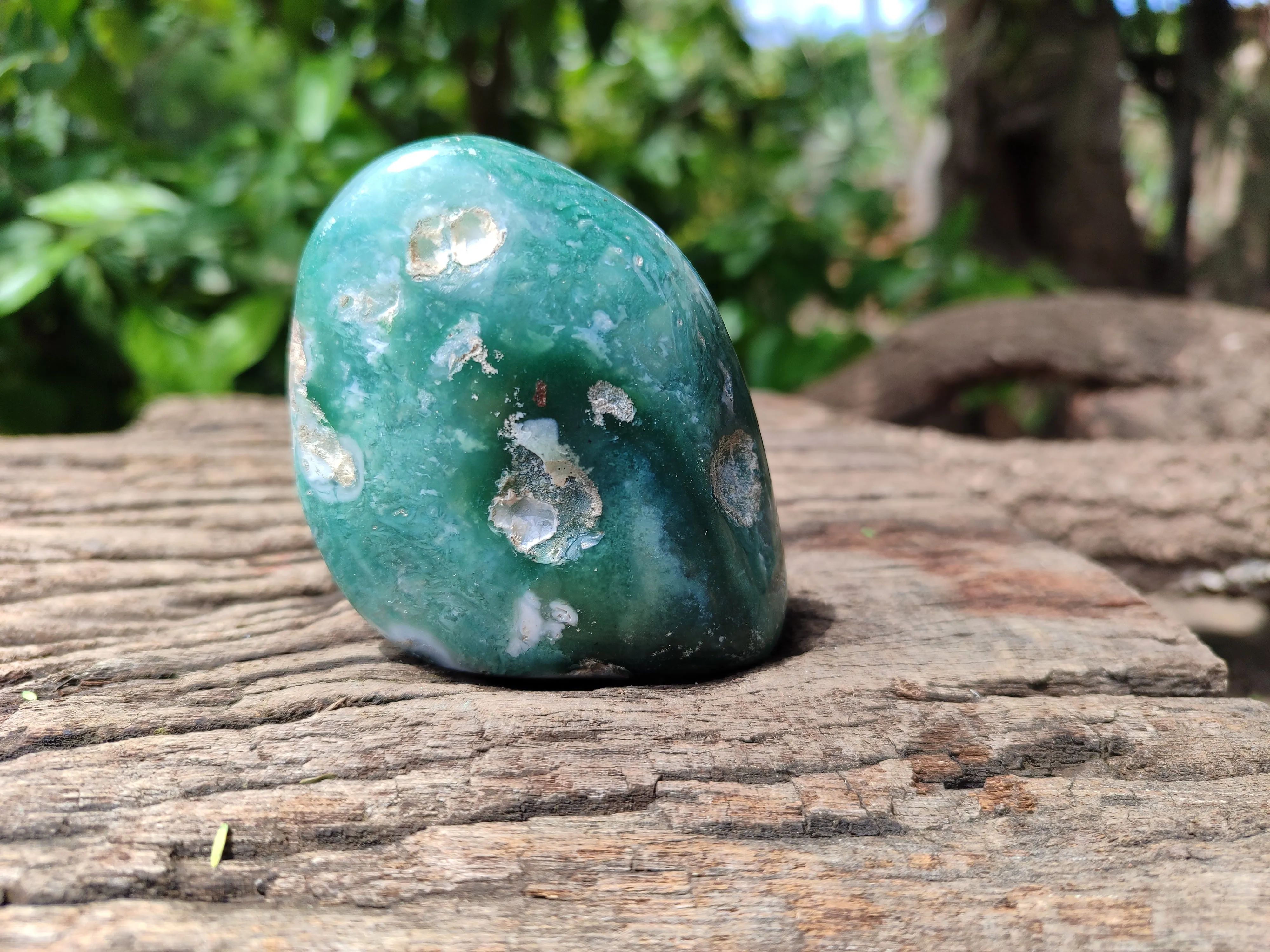 Polished Emerald Mtorolite Free Forms x 8 From Zimbabwe