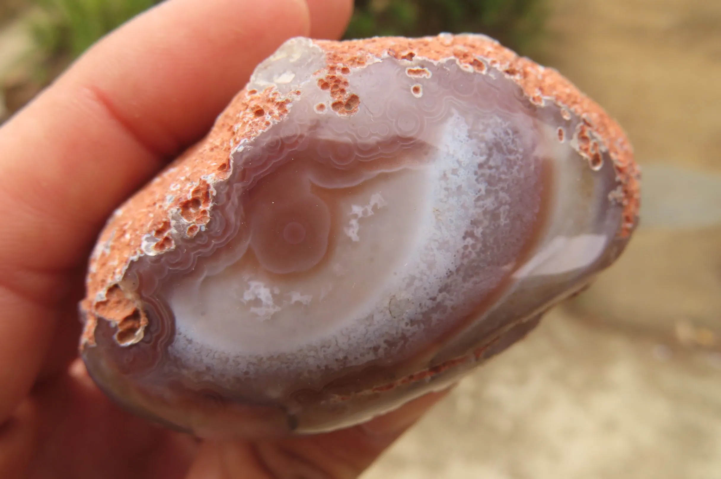 Polished On One Side Red Sashe River Agate Nodules x 6 From Sashe River, Zimbabwe