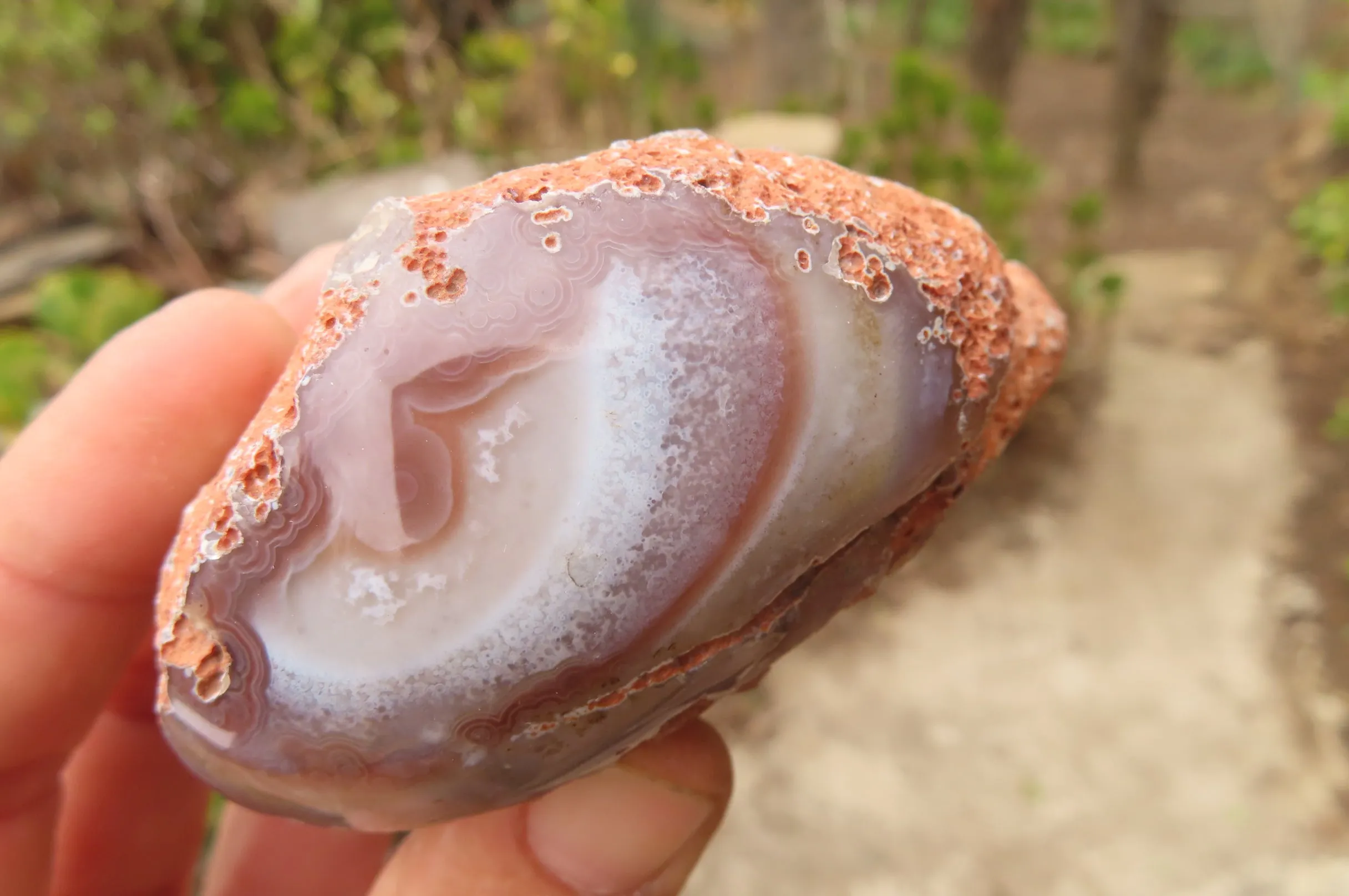 Polished On One Side Red Sashe River Agate Nodules x 6 From Sashe River, Zimbabwe