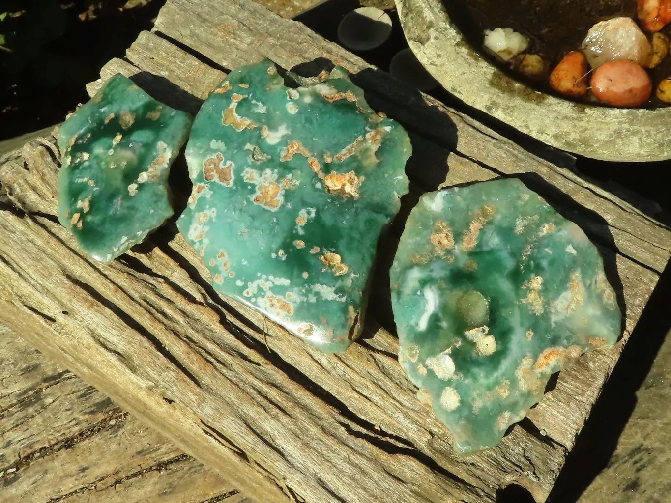 Polished One Side Polished Mtorolite Plates  x 3 From Zimbabwe