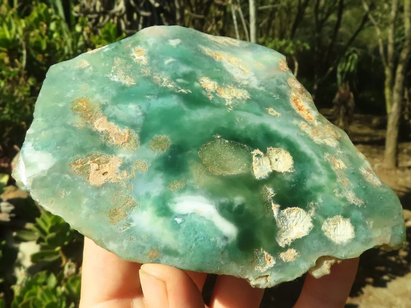 Polished One Side Polished Mtorolite Plates  x 3 From Zimbabwe
