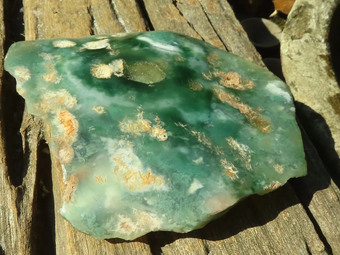 Polished One Side Polished Mtorolite Plates  x 3 From Zimbabwe