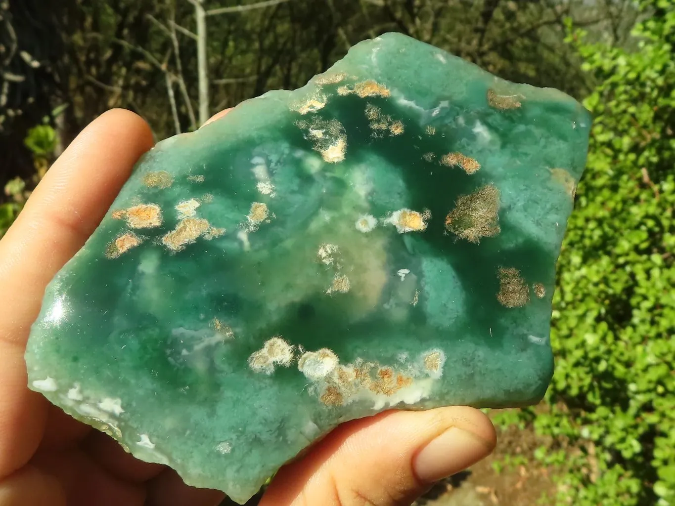 Polished One Side Polished Mtorolite Plates  x 3 From Zimbabwe