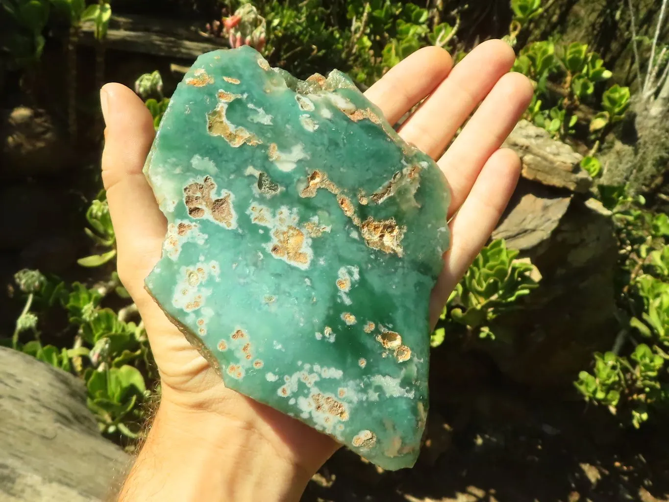Polished One Side Polished Mtorolite Plates  x 3 From Zimbabwe