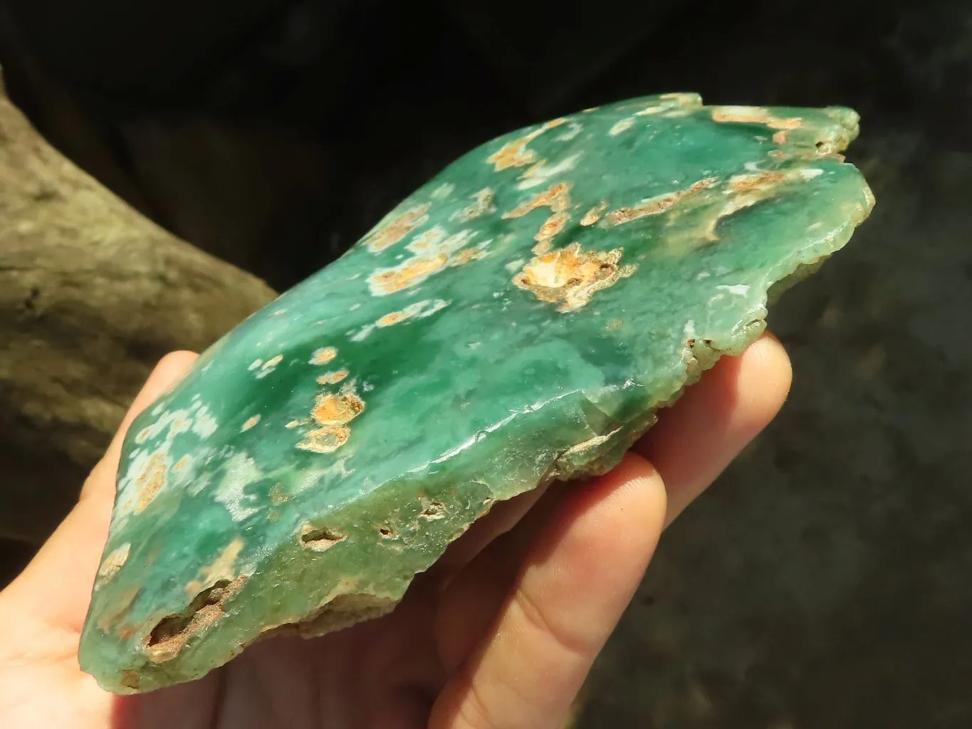 Polished One Side Polished Mtorolite Plates  x 3 From Zimbabwe