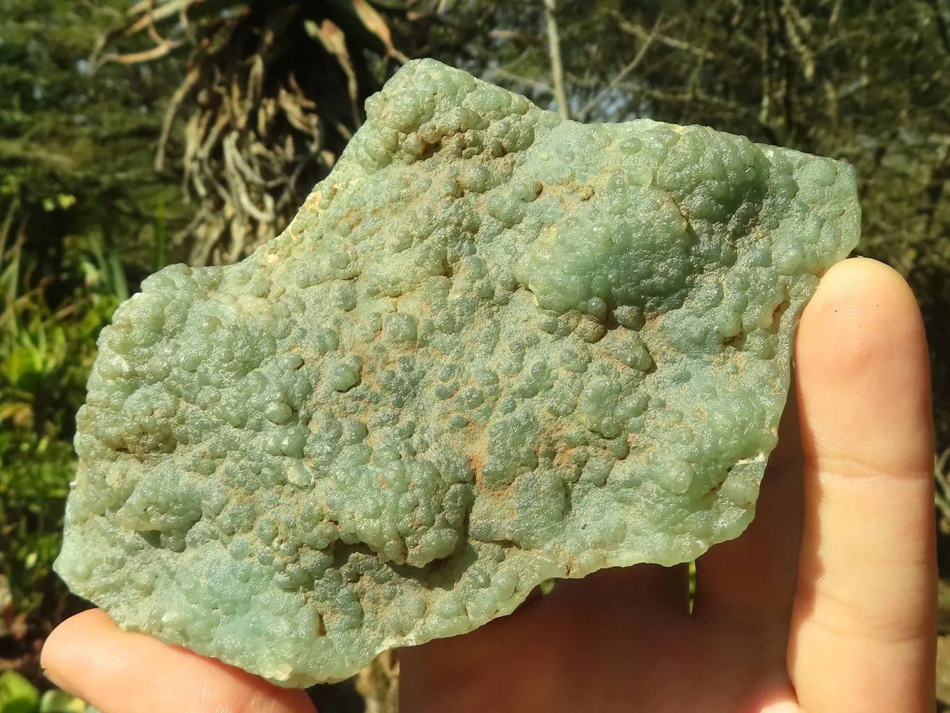 Polished One Side Polished Mtorolite Plates  x 3 From Zimbabwe