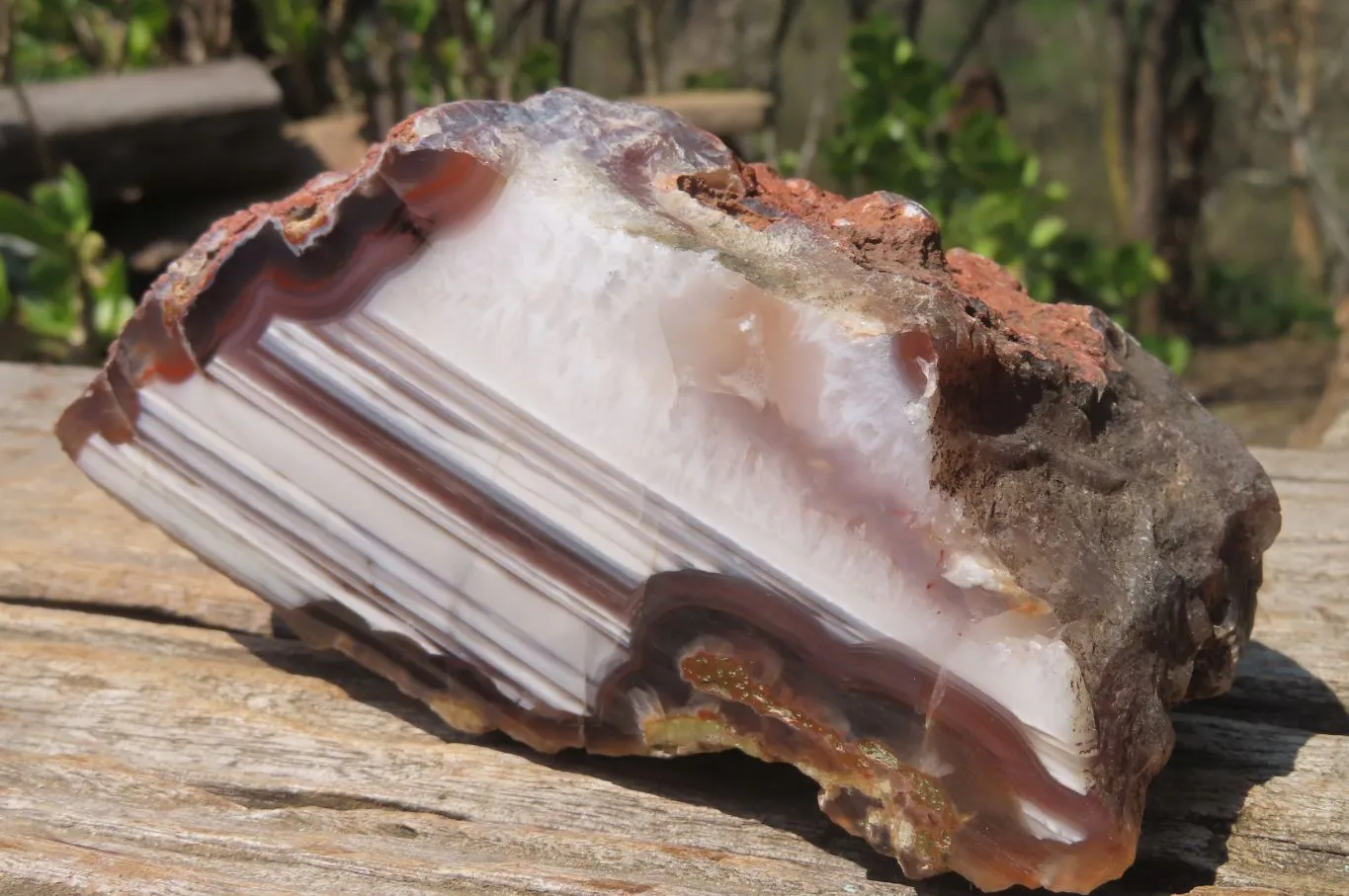 Polished Red Sashe River Agate Nodules x 3 From Zimbabwe