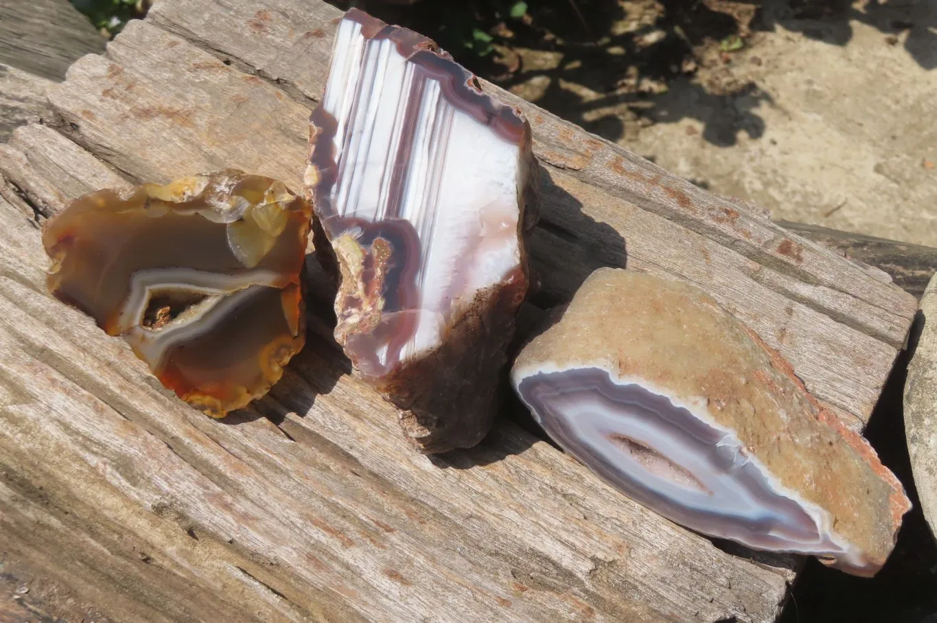 Polished Red Sashe River Agate Nodules x 3 From Zimbabwe