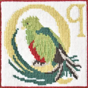 Q-Quetzal