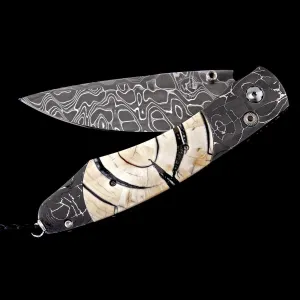 Spearpoint Adventure Limited Edition - B12 ADVENTURE