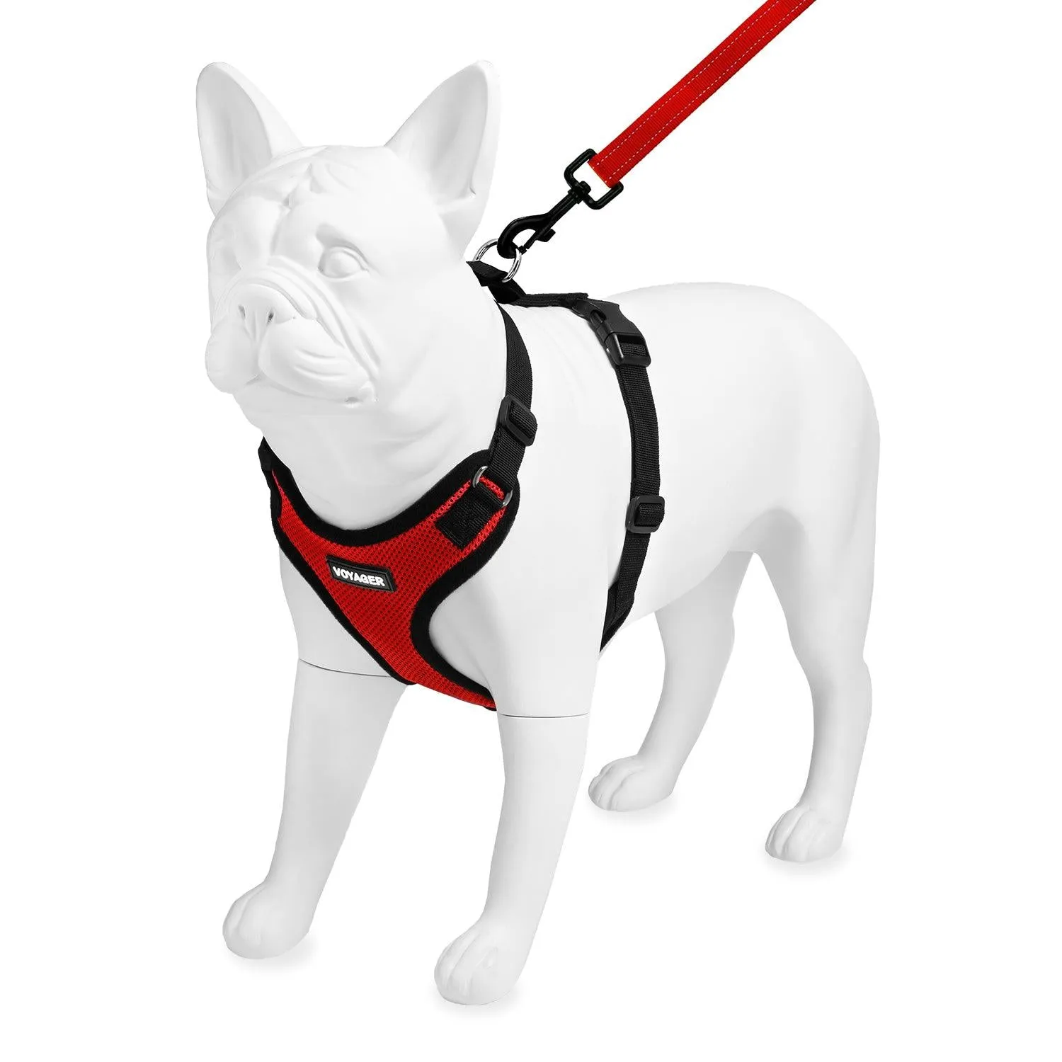Step-In Lock Harness & Leash Set: Enhanced Pet Control & Safety