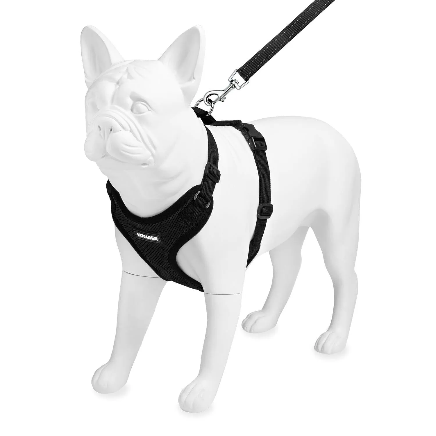 Step-In Lock Harness & Leash Set: Enhanced Pet Control & Safety