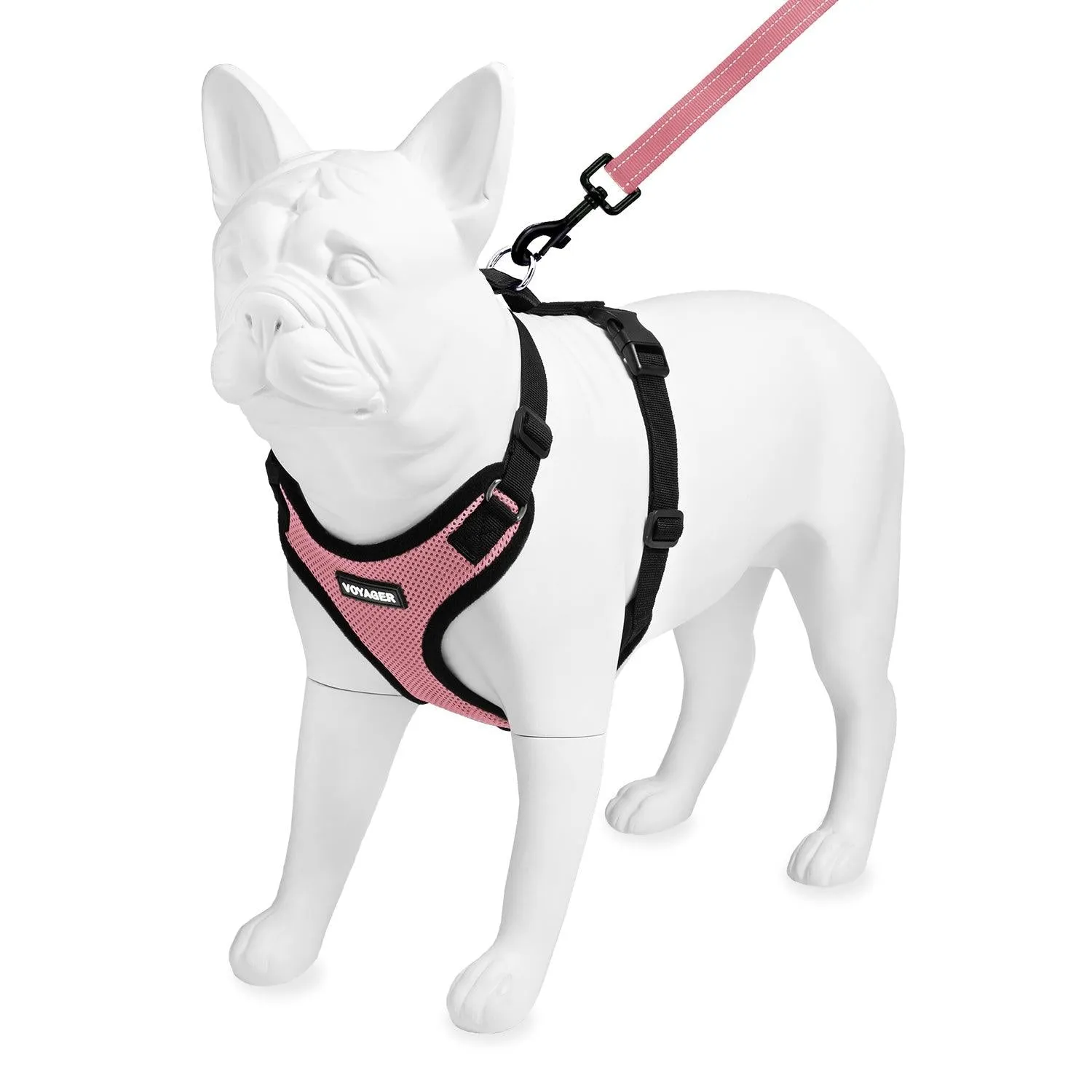 Step-In Lock Harness & Leash Set: Enhanced Pet Control & Safety