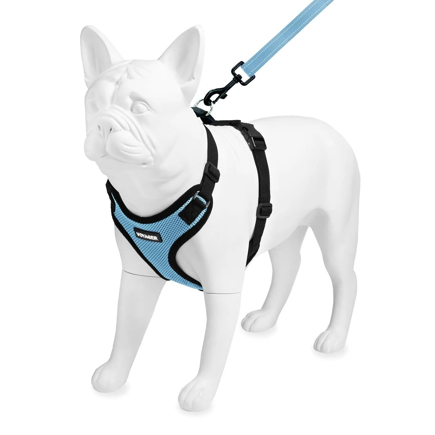 Step-In Lock Harness & Leash Set: Enhanced Pet Control & Safety