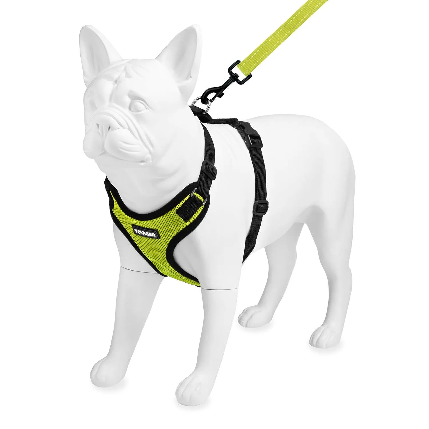 Step-In Lock Harness & Leash Set: Enhanced Pet Control & Safety
