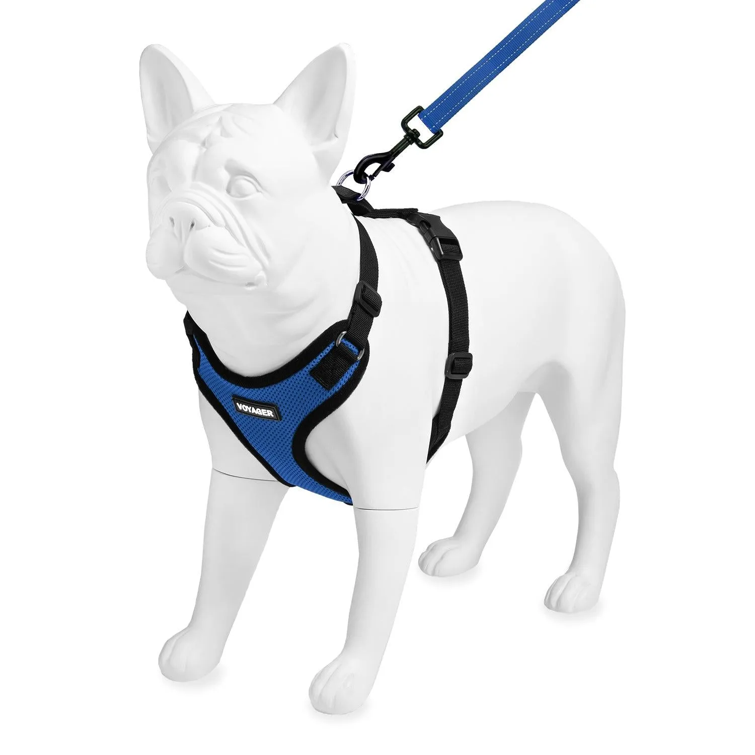Step-In Lock Harness & Leash Set: Enhanced Pet Control & Safety